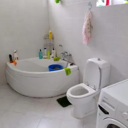 Villa Nizzy House Tas Ev Ordu