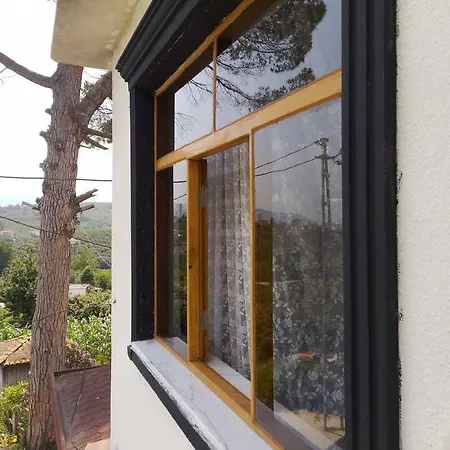 Villa Nizzy House Tas Ev Ordu
