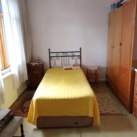 Nizzy House Tas Ev Villa *