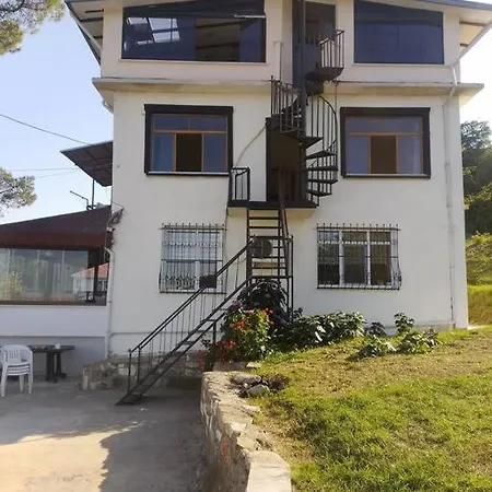 Villa Nizzy House Tas Ev Ordu
