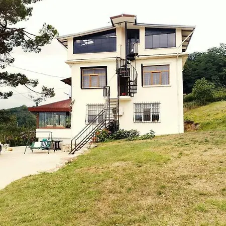 Nizzy House Tas Ev Ordu