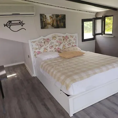 Nizzy House Tas Ev * Ordu