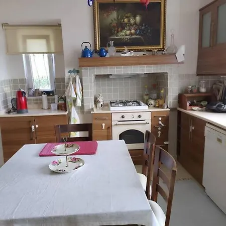 Nizzy House Tas Ev Villa *