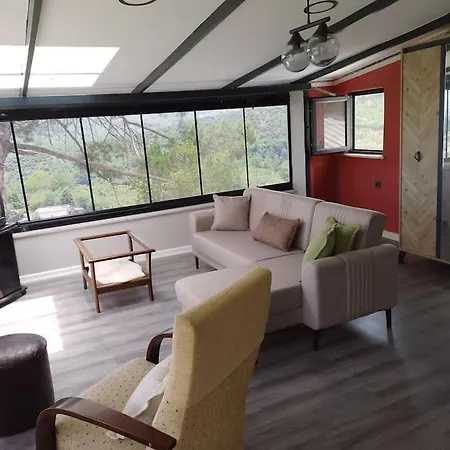 Villa Nizzy House Tas Ev Ordu