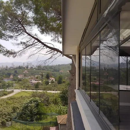 Nizzy House Tas Ev * Ordu